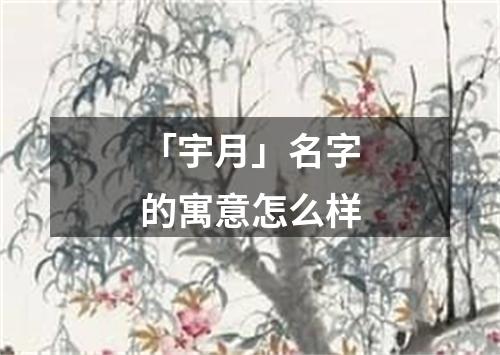 「宇月」名字的寓意怎么样