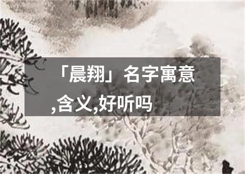 「晨翔」名字寓意,含义,好听吗