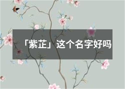 「紫芷」这个名字好吗