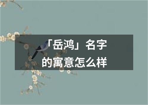 「岳鸿」名字的寓意怎么样