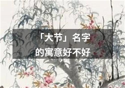 「大节」名字的寓意好不好