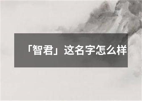 「智君」这名字怎么样