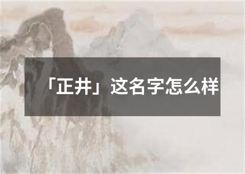 「正井」这名字怎么样