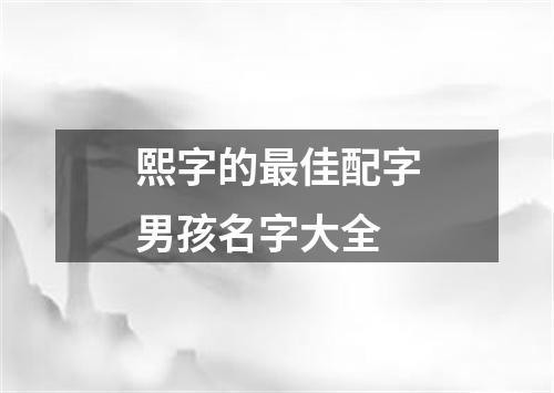 熙字的最佳配字男孩名字大全