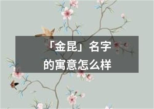 「金昆」名字的寓意怎么样