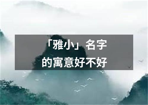 「雅小」名字的寓意好不好