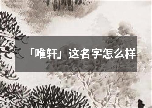 「唯轩」这名字怎么样