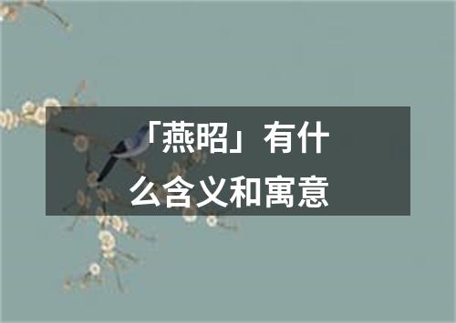 「燕昭」有什么含义和寓意