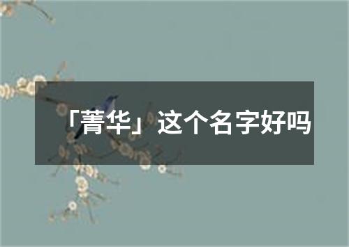 「菁华」这个名字好吗