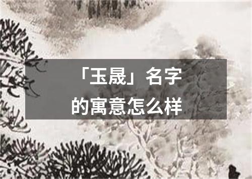 「玉晟」名字的寓意怎么样