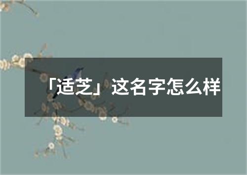 「适芝」这名字怎么样