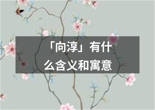 「向淳」有什么含义和寓意