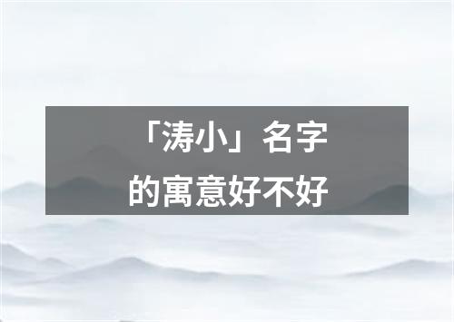 「涛小」名字的寓意好不好