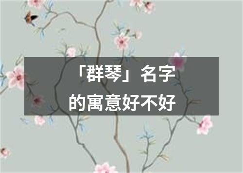 「群琴」名字的寓意好不好