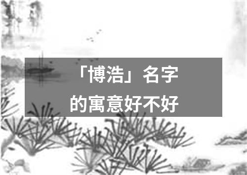 「博浩」名字的寓意好不好