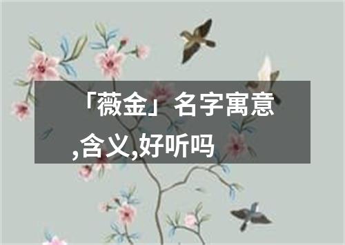 「薇金」名字寓意,含义,好听吗