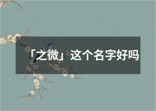 「之微」这个名字好吗