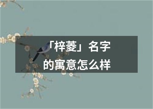 「梓菱」名字的寓意怎么样