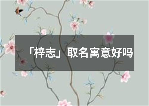 「梓志」取名寓意好吗