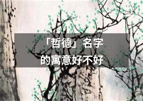 「哲德」名字的寓意好不好