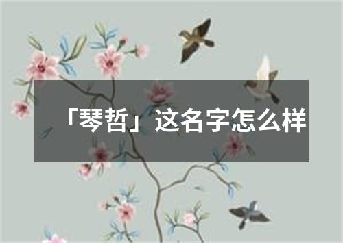 「琴哲」这名字怎么样