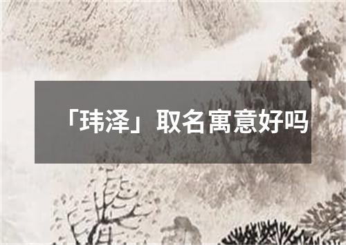 「玮泽」取名寓意好吗