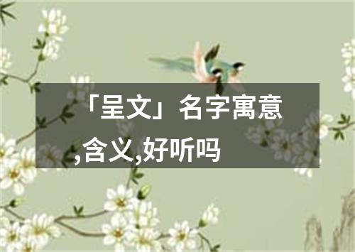 「呈文」名字寓意,含义,好听吗