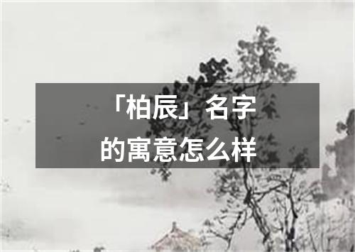 「柏辰」名字的寓意怎么样