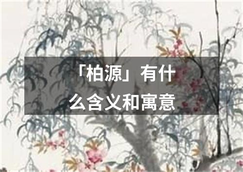 「柏源」有什么含义和寓意