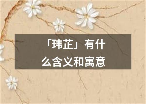 「玮芷」有什么含义和寓意