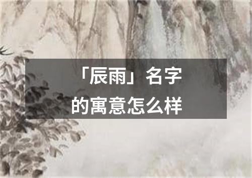 「辰雨」名字的寓意怎么样