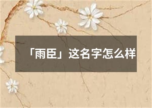 「雨臣」这名字怎么样