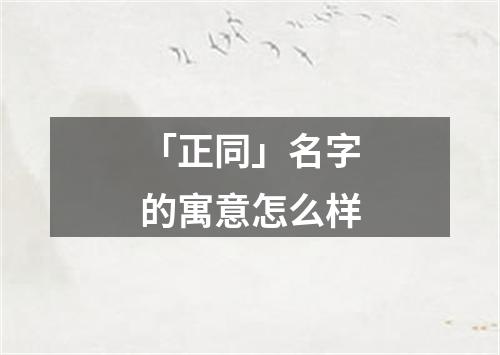 「正同」名字的寓意怎么样