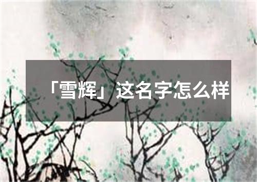 「雪辉」这名字怎么样