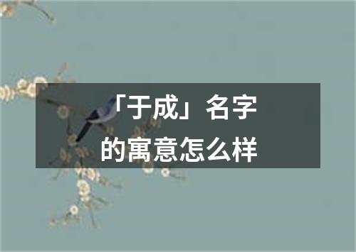 「于成」名字的寓意怎么样