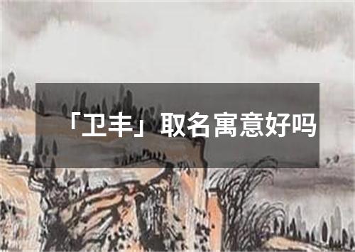 「卫丰」取名寓意好吗