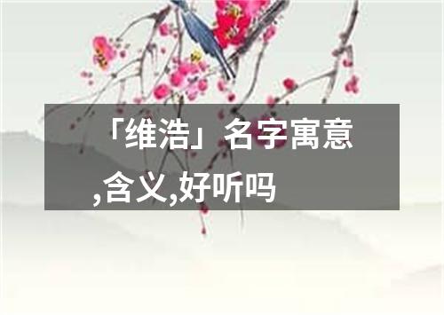 「维浩」名字寓意,含义,好听吗