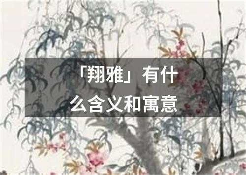 「翔雅」有什么含义和寓意