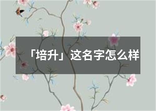 「培升」这名字怎么样