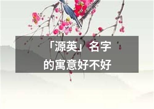 「源英」名字的寓意好不好