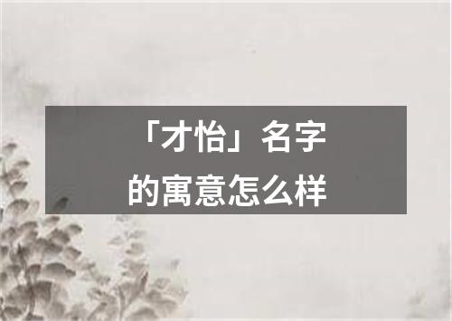 「才怡」名字的寓意怎么样