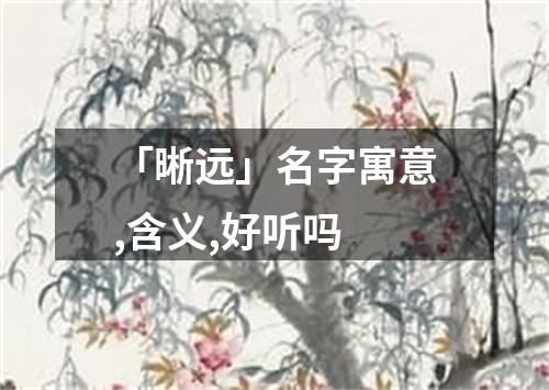 「晰远」名字寓意,含义,好听吗