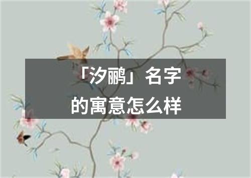 「汐鹂」名字的寓意怎么样