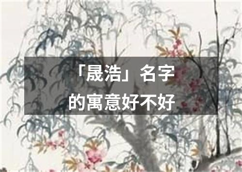 「晟浩」名字的寓意好不好