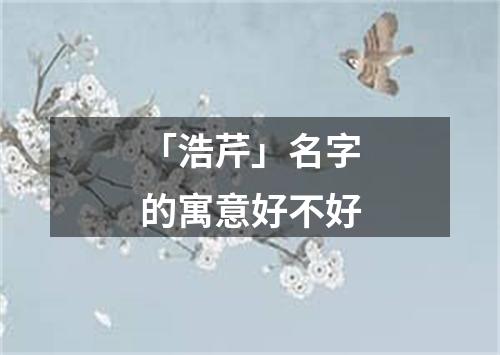 「浩芹」名字的寓意好不好