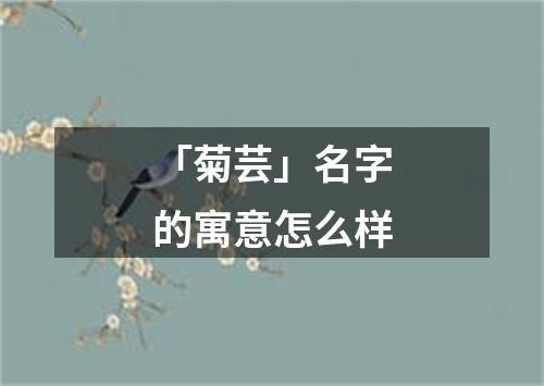 「菊芸」名字的寓意怎么样