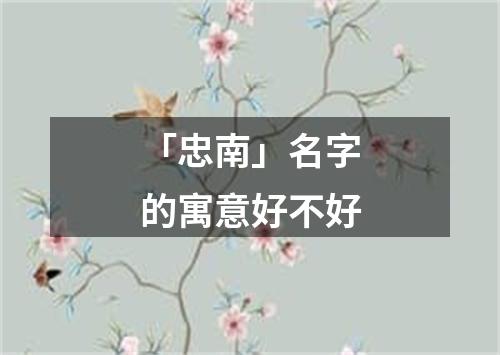 「忠南」名字的寓意好不好