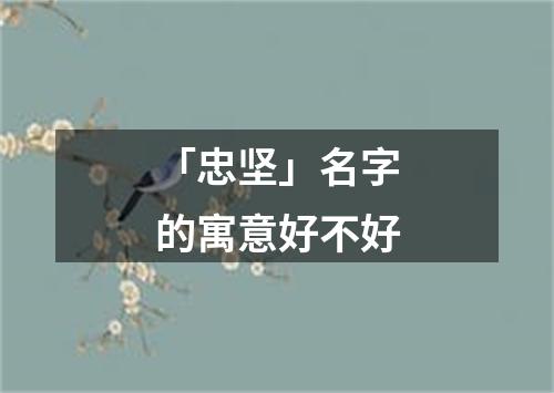 「忠坚」名字的寓意好不好