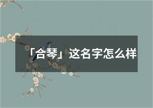 「合琴」这名字怎么样