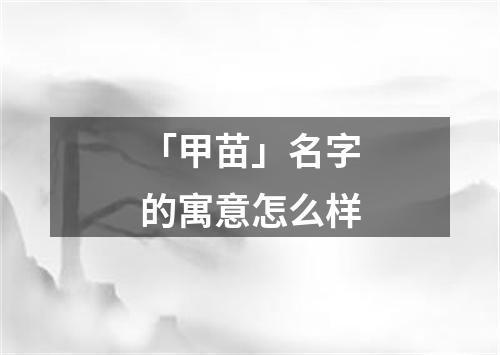 「甲苗」名字的寓意怎么样